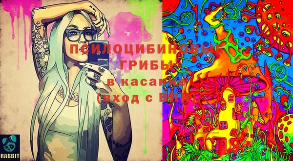 прущие крисы Магадан