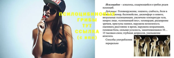 МДПВ Михайлов