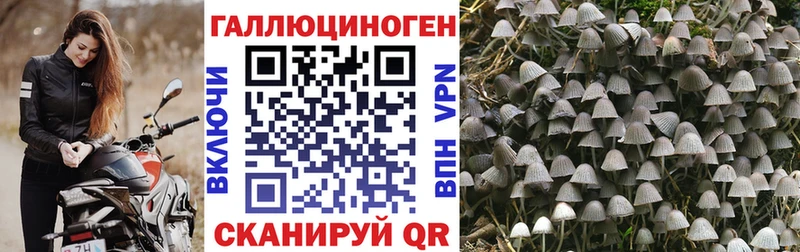 Галлюциногенные грибы MAGIC MUSHROOMS  Лесозаводск 